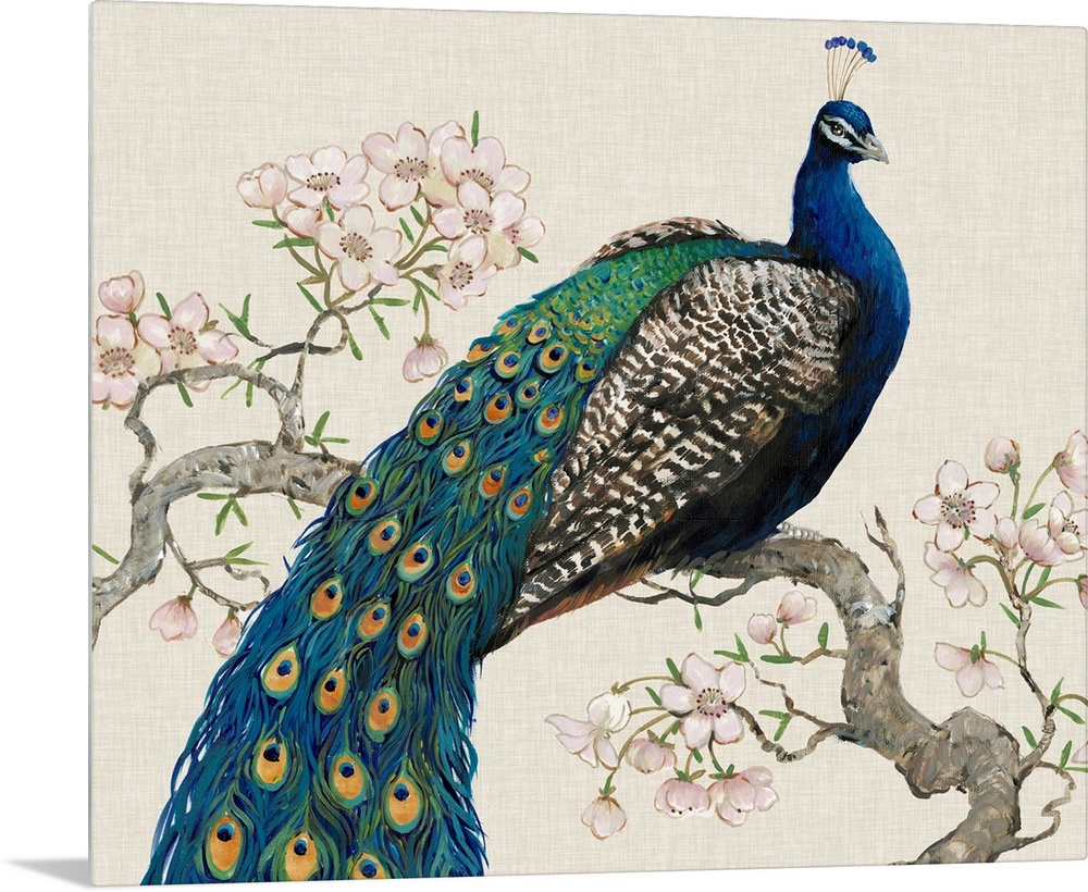 Peacock and Blossoms I