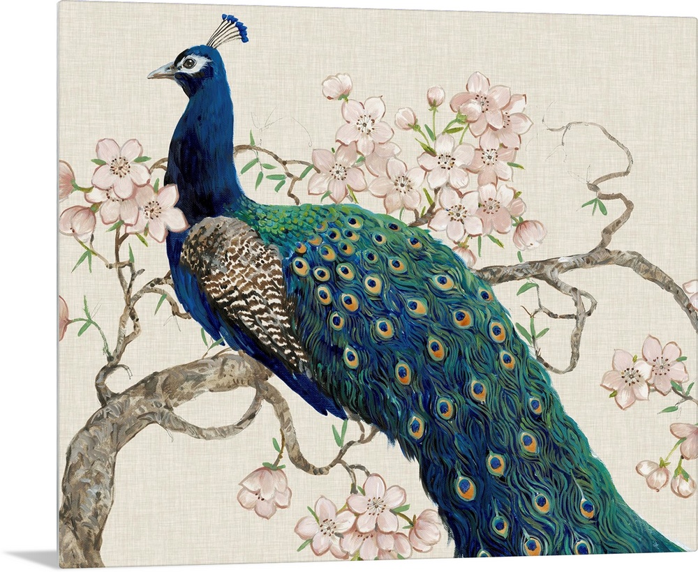 Peacock and Blossoms II