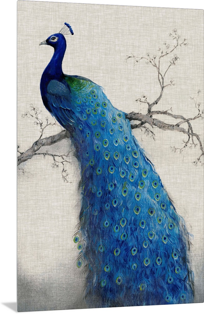 Vertical, large artwork of a vibrant peacock sitting on a branch, its tail feathers flowing downward, on a neutral backgro...