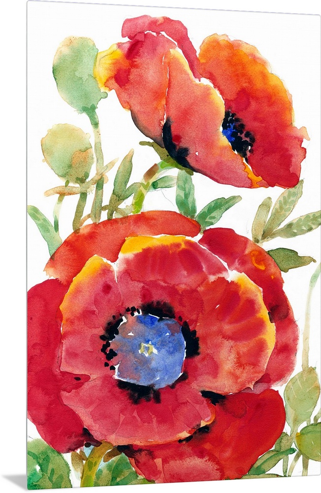 Poppy Floral II