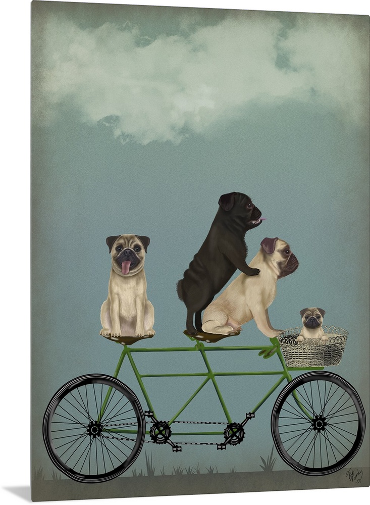 Decorative artwork of four Pugs riding on a green tandem bicycle with one puppy riding in the basket attached to the front.