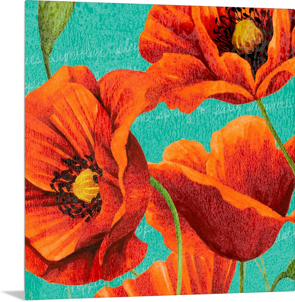 Red Poppies on Teal I