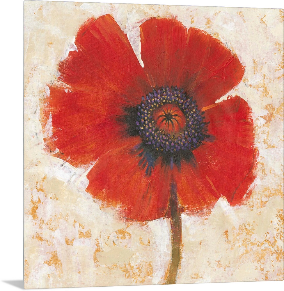 Creative painting of a bright red poppy on a mottled gold and beige backdrop.