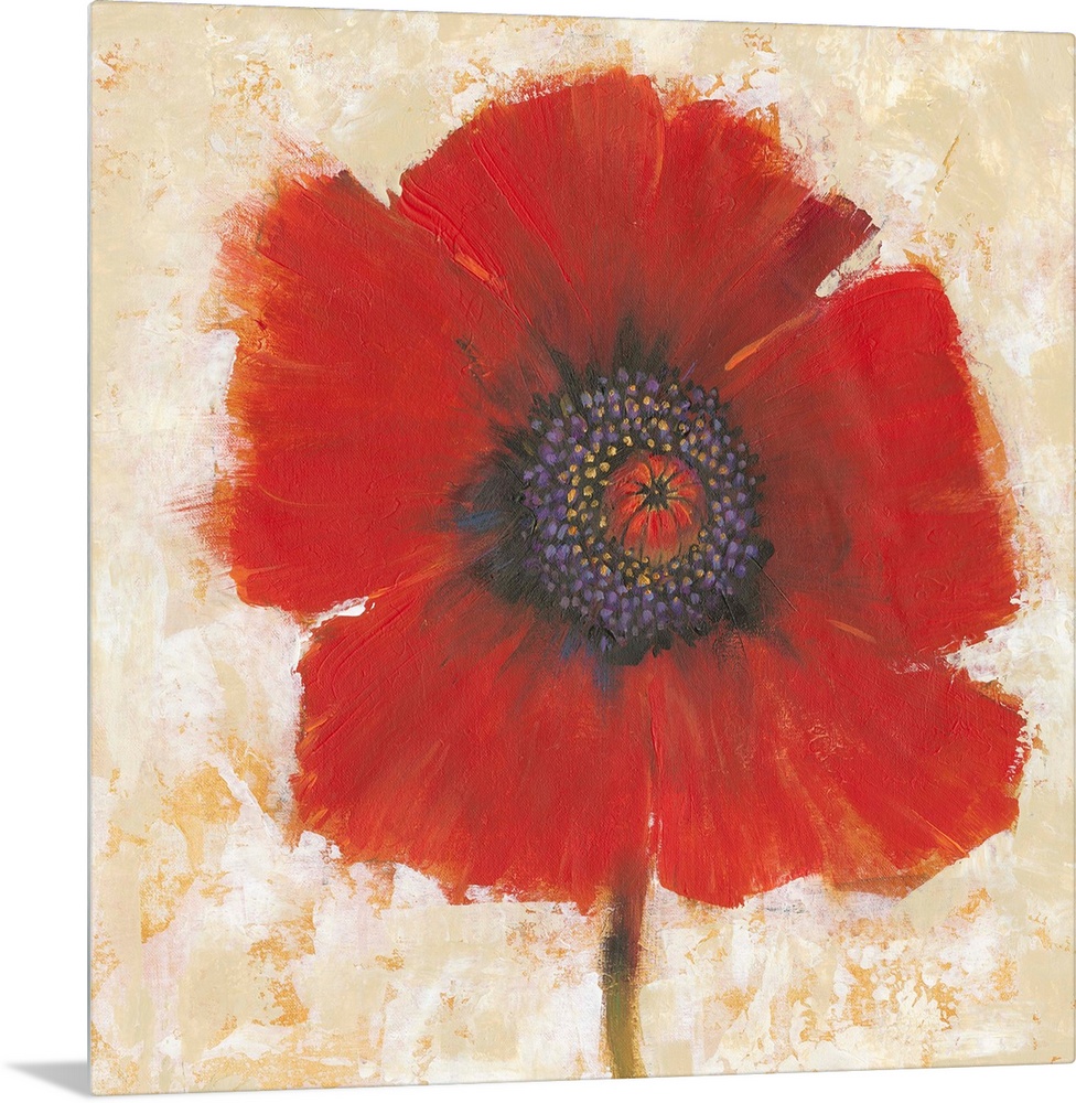 Creative painting of a bright red poppy on a mottled gold and beige backdrop.