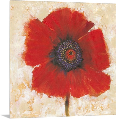 Red Poppy Portrait II