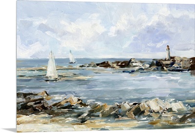 Rocky Shore Coastline II