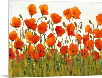 Rows of Poppies I