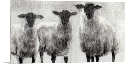 Rustic Sheep I