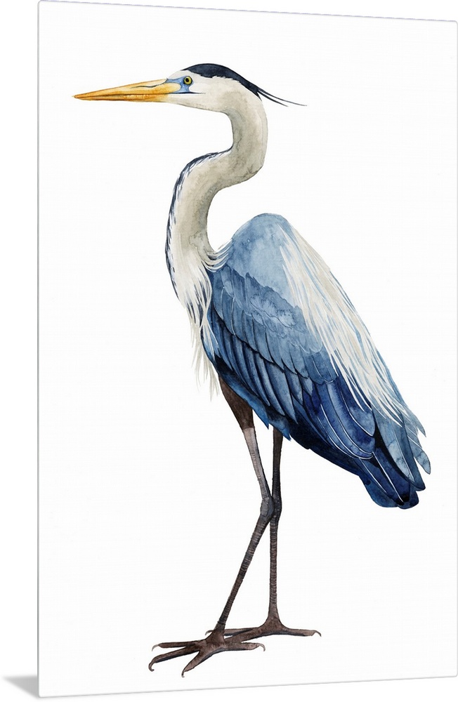 Modern illustration of a great blue heron on a white background.