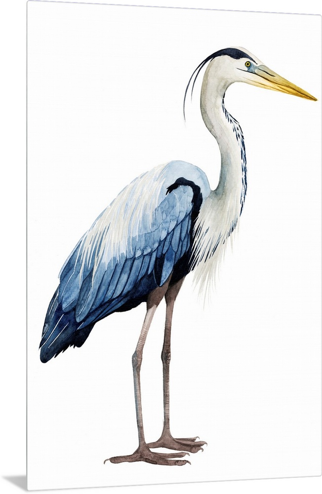 Modern illustration of a great blue heron on a white background.