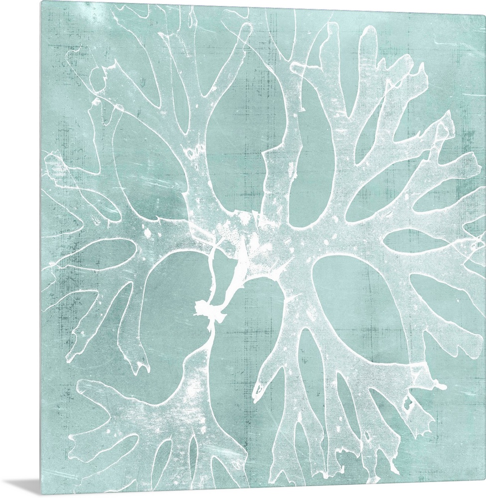 Seaweed illustration in white on an aquamarine blue background.