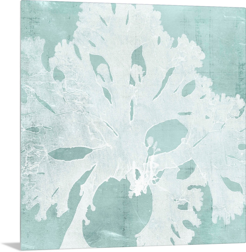 Seaweed illustration in white on an aquamarine blue background.