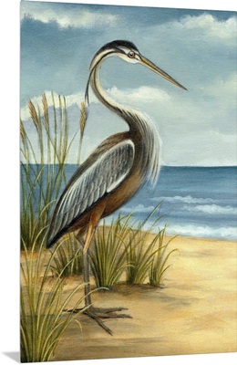 Shore Bird I