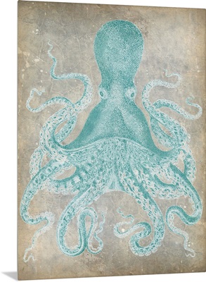 Spa Octopus I