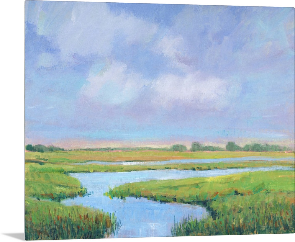 Summer Marsh II