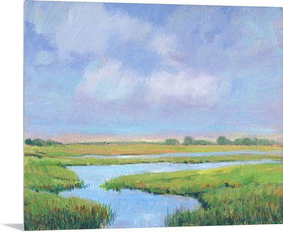 Summer Marsh II