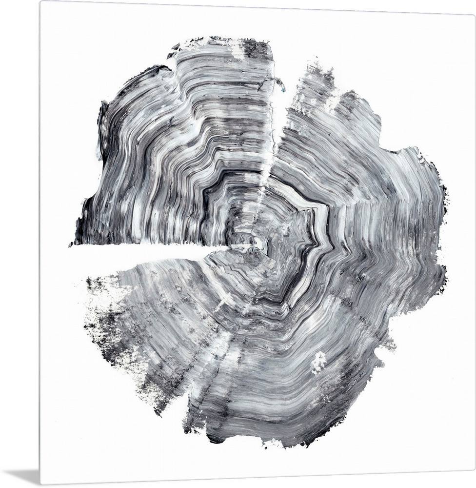 Tree Ring Abstract IV