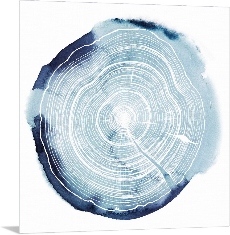 Watercolor impression of a tree trunk cross-section.