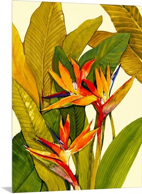 Tropical Bird of Paradise