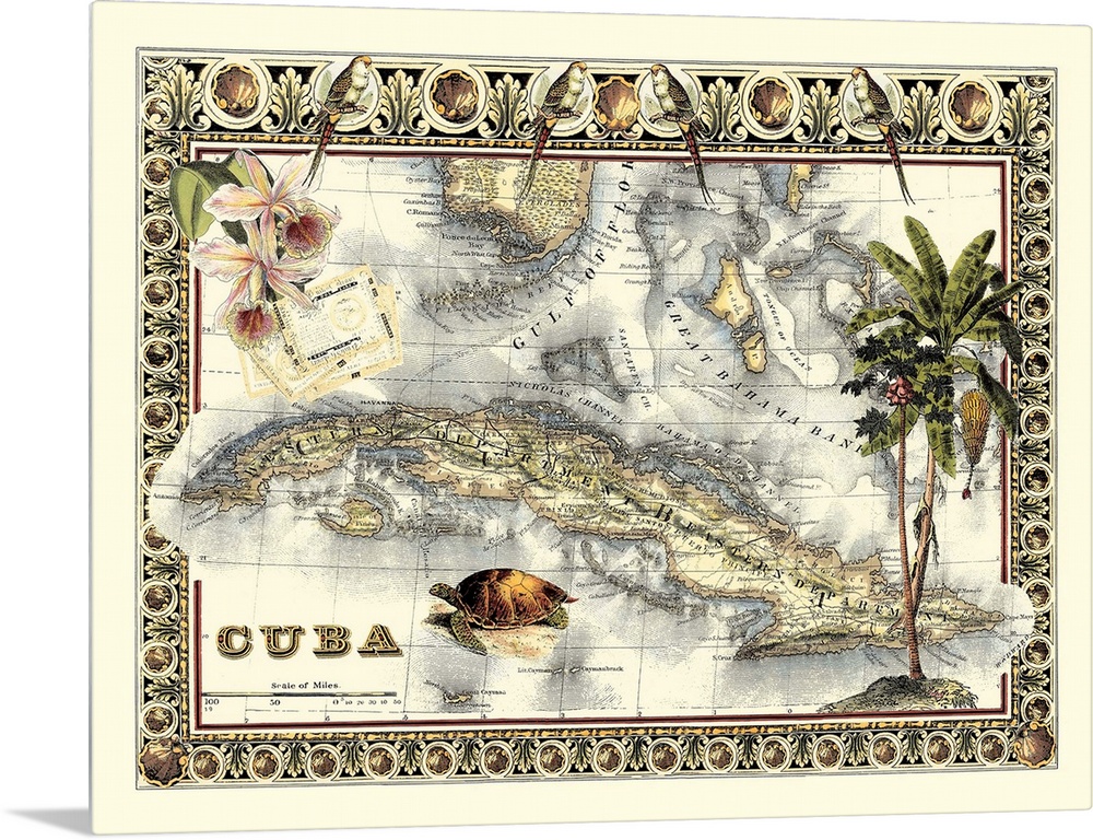 Tropical Map of Cuba