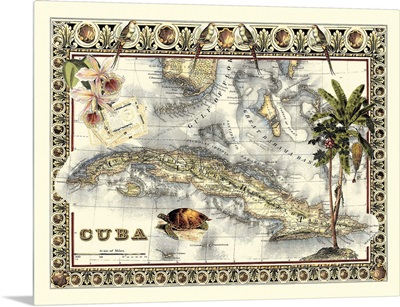 Tropical Map of Cuba