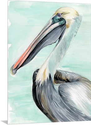 Turquoise Pelican II