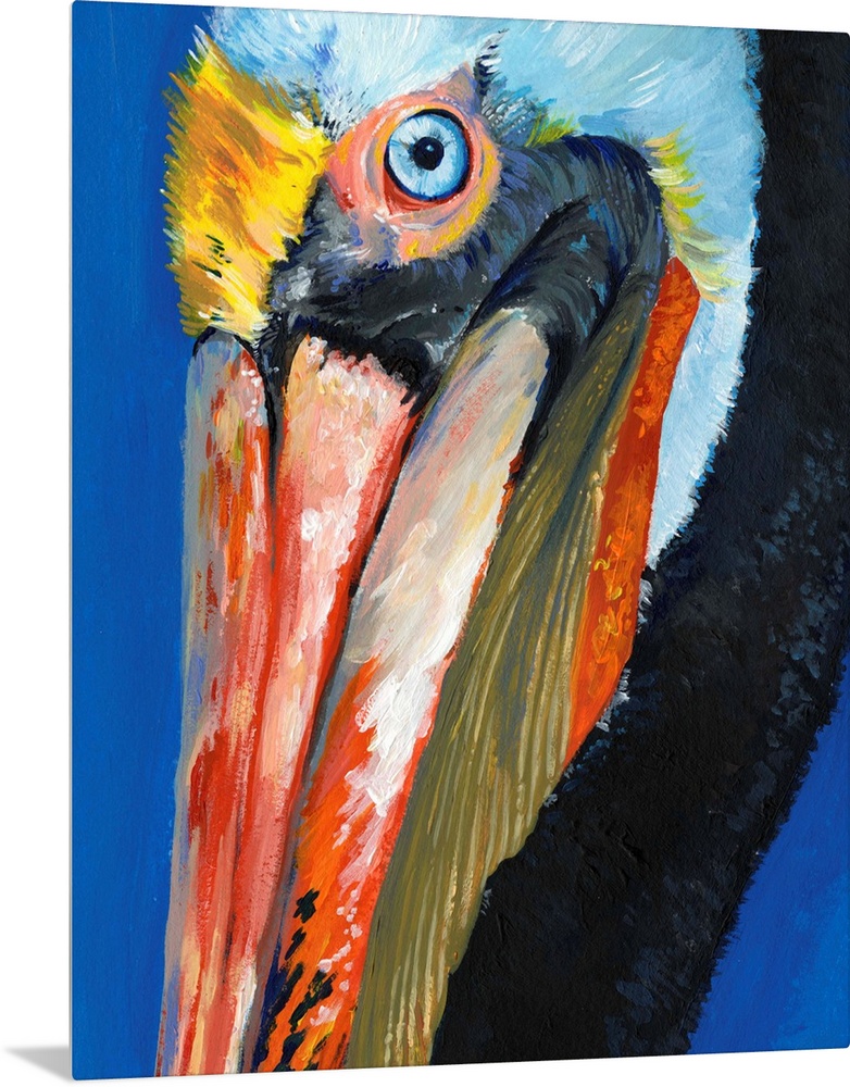 Vibrant Pelican I