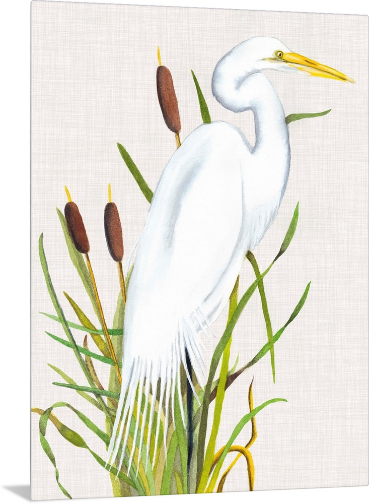 Painting of a white egret standing in tall reeds.