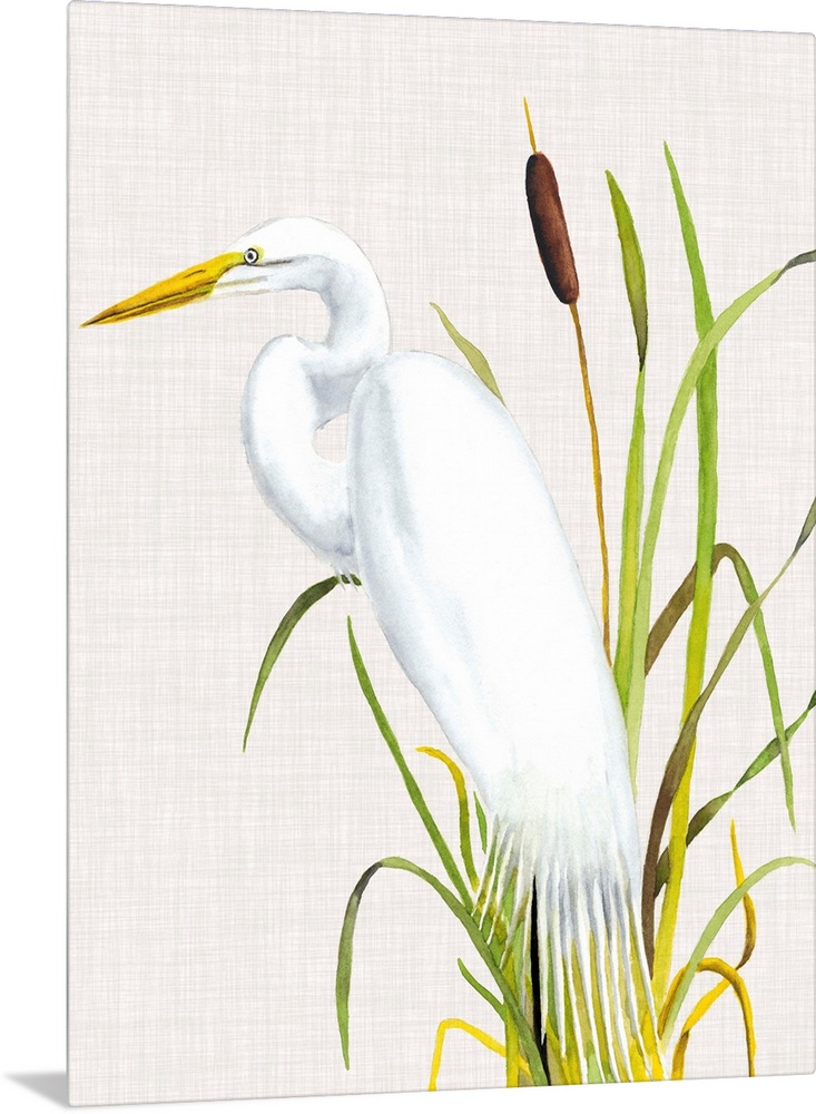 Painting of a white egret standing in tall reeds.