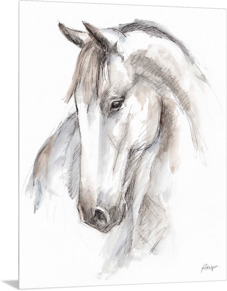 Watercolor Equine Study II