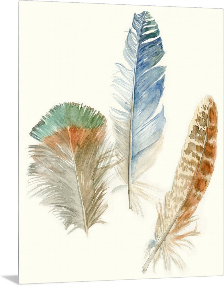 Contemporary watercolor feather illustrations.