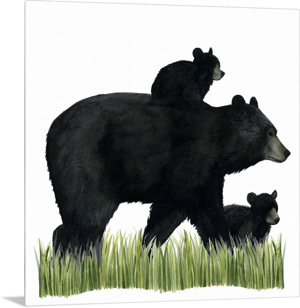 Watercolor portrait of a bear and its cub on a grassy landscape.