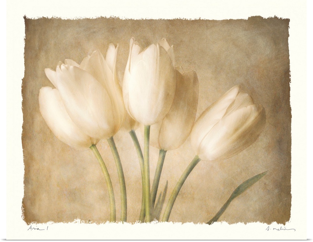 Decorative painting of a small bouquet of tulips in subtle, neutral tones, on a white background.
