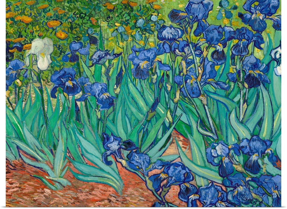 Vincent van Gogh (French, 1853 - 1890), Irises, 1889, oil on canvas, 71.1 x 93 cm (27.9 x 36.6 in), The J. Paul Getty Muse...
