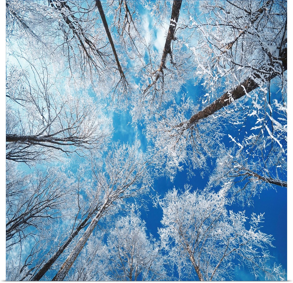 Frozen Sky Wall Art, Canvas Prints, Framed Prints, Wall Peels | Great ...