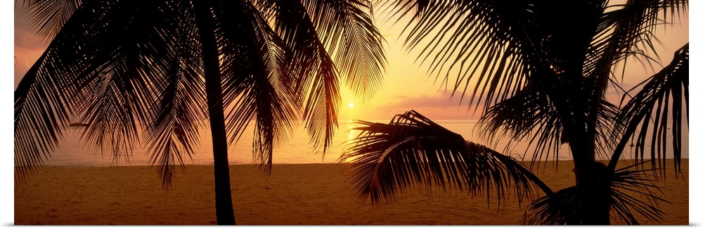Silhouettes of palm trees on a beach with the sun sinking below the horizon.