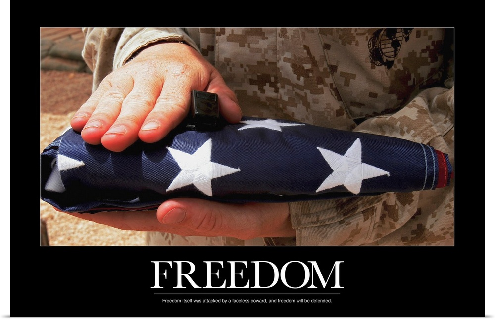 Military Motivational Poster: Freedom