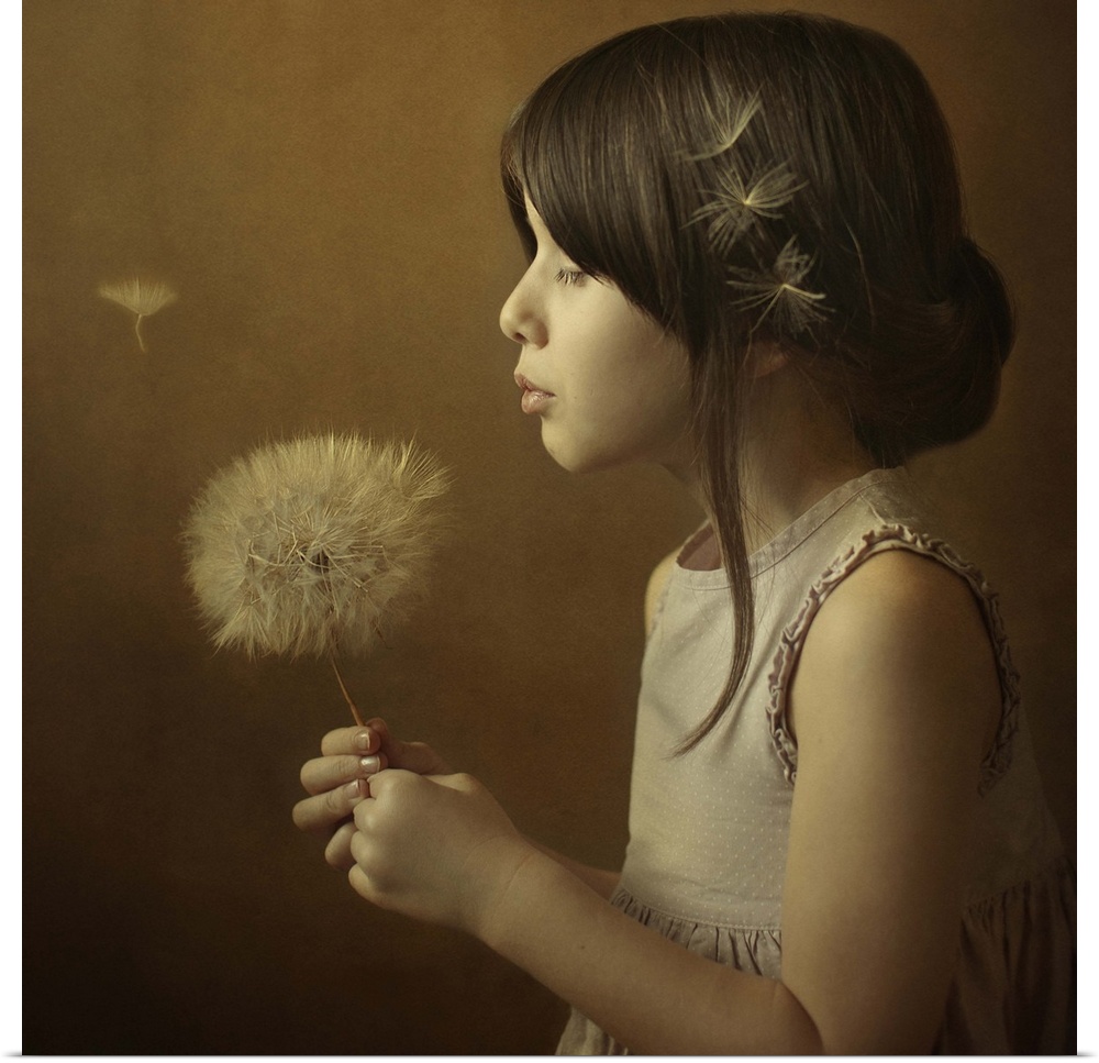 A little girl holding a giant dandelion full of seeds, about to blow the wisps away.