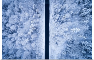 A Frosty Road