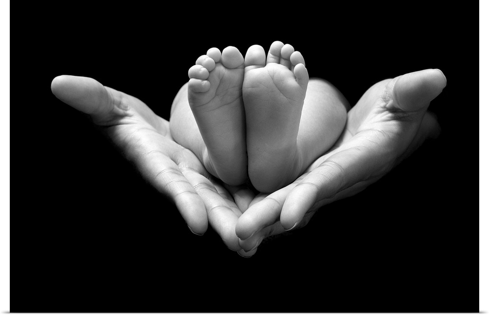 An adult's hands holding a newborn's feet, in black and white.