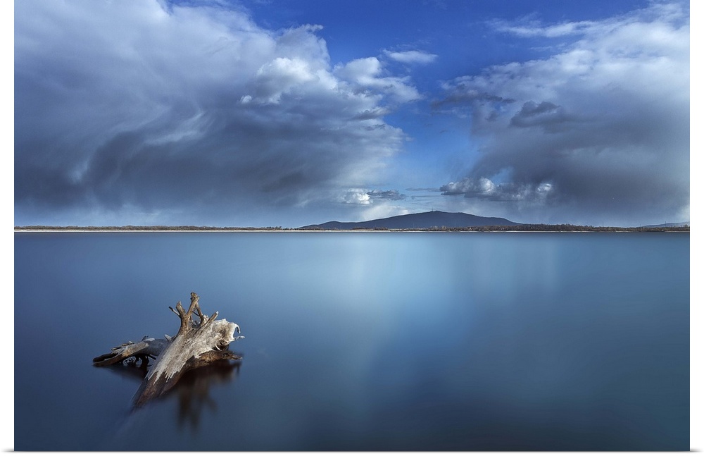 A piece of driftwood in the still waters of a Polish lake, with a cloudy sky above.