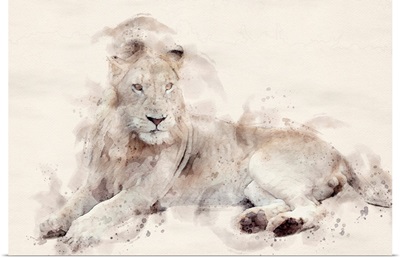 Abstract African Lion Watercolor