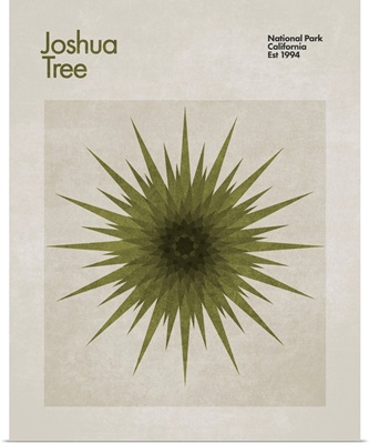 Abstract Travel Joshua Tree