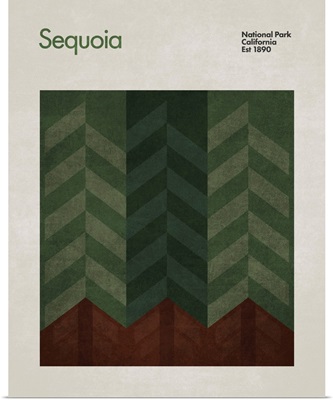 Abstract Travel Sequoia