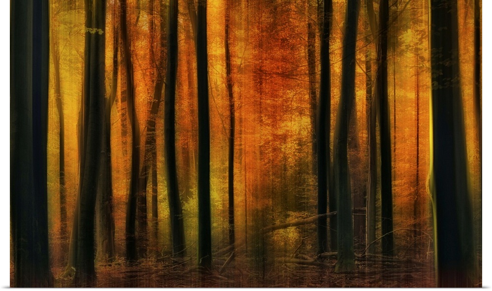 An abstract scene of a warm autumn forest.