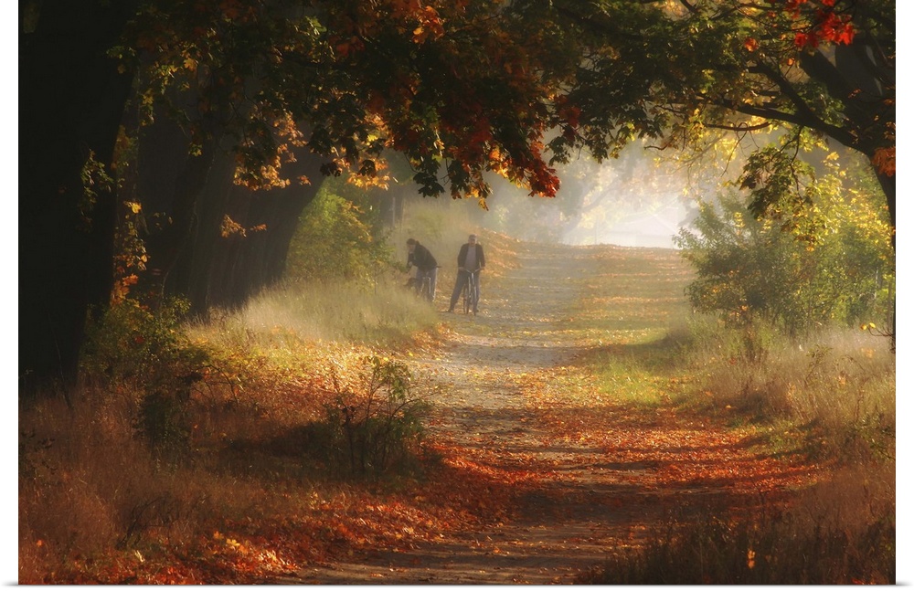 Two figures on a path through a forest covered with fallen leaves in Autumn.