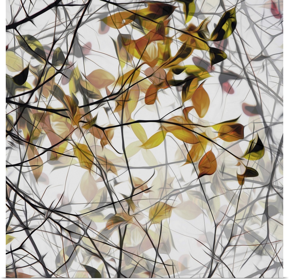 Photo of branches with fall leaves, edited for a smooth effect.