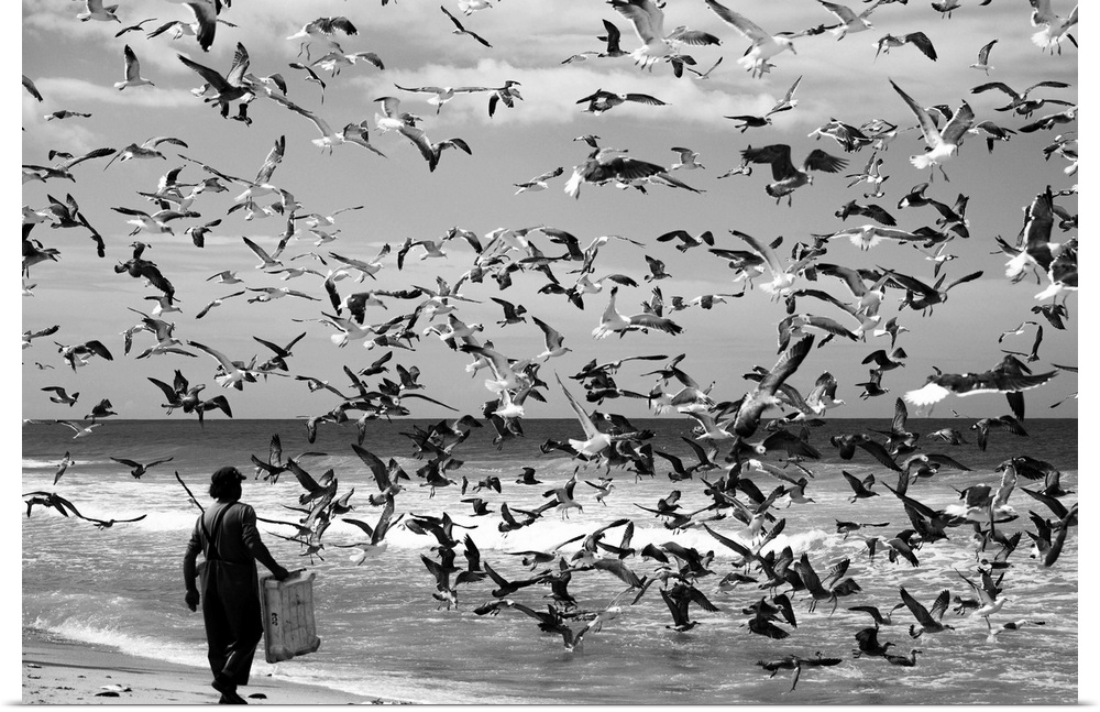 A man on the beach with a large flock of sea gulls in the air.