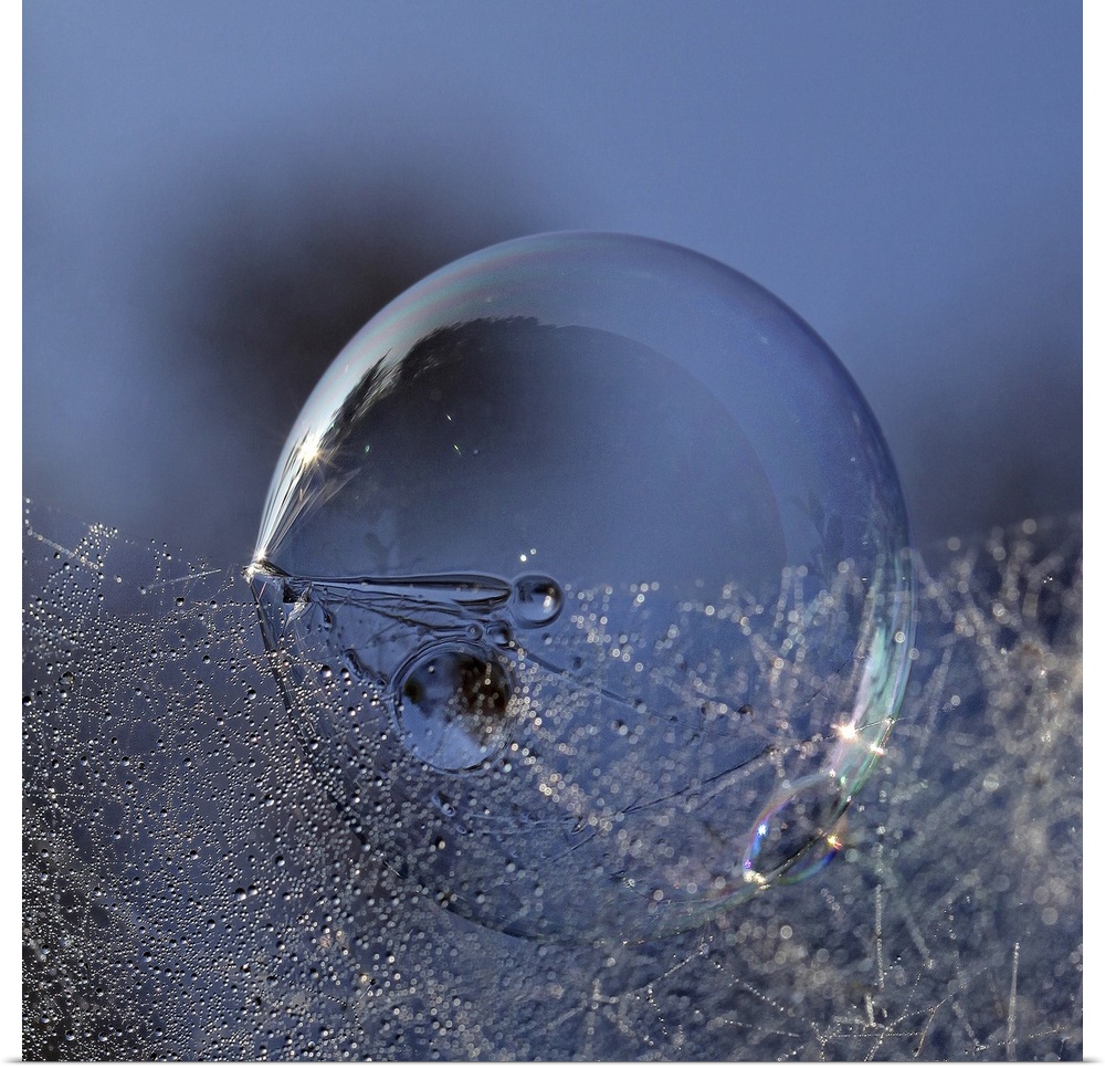 A large soap bubble sits under a web of small dew drops.
