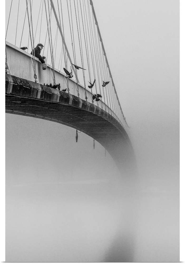Man feeding pigeons from the edge of a suspension bridge, fading into the fog.